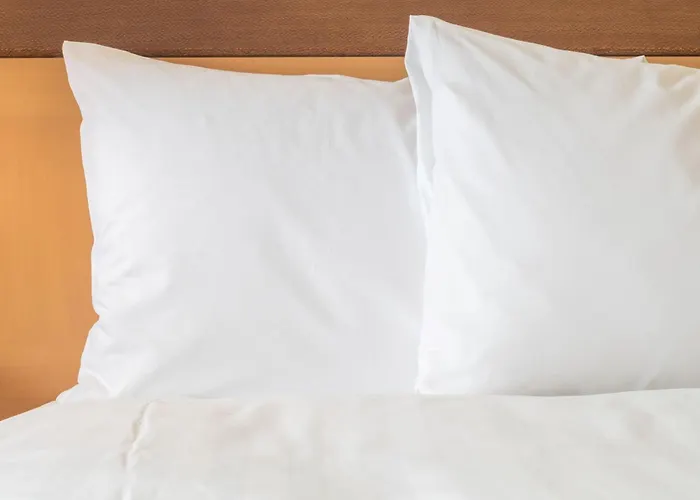 Hotel Express - Centre - Rive Gauche By Ihg 3*