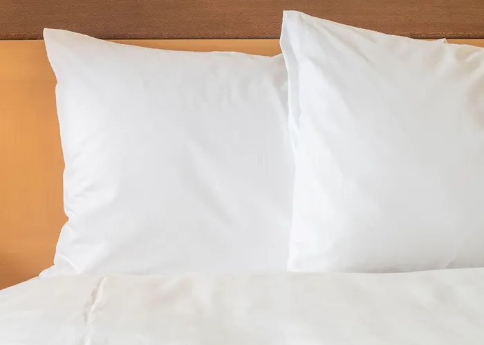 Express - Centre - Rive Gauche By Ihg 3*